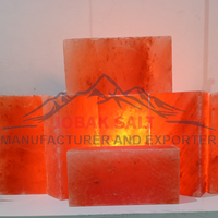 Vente en gros de briques de sel de l'Himalaya pour les sols, les salles de spa, les murs et les centres de bien-être