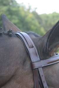 Bride de cheval avec bande de front de mode Bride de haute qualité avec bande de front exclusive NEW Horse Black fantaisie Leather Bridle - Product Image 2