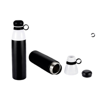 Premium Inoxydable 750ml Double Paroi Haute Sublimation Bouteille Mousqueton Bouteille D'eau Moderne Vague Bouteille D'eau Isolé Sous Vide