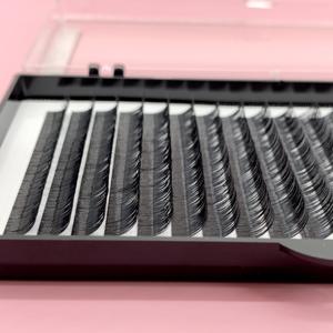 Accepter la personnalisation Camellia Easy Fan Promade Lash Fans Full Curl Korean PBT Fiber Bulk Purchase Box 12 Line Semi Matte - Product Image 3