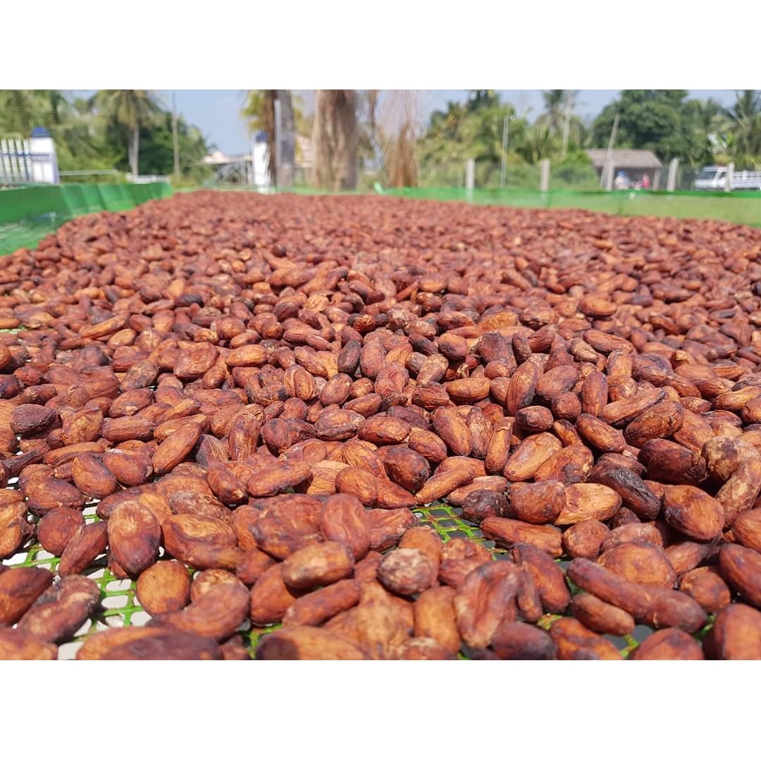 Высококачественное органическое чистое какао с OEM услугами, срок годности 24 месяца, ариба, сорт из Вьетнама