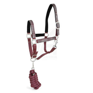 Collar protector para caballos, halter grueso para equitación, el mejor fabricante de halteres para caballos de Alexandria Industries - Product Image 1