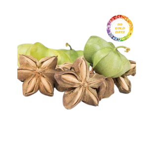 Nueces de Sacha Inchi naturales de primera calidad, suministro al por mayor a granel, granos sin OMG, embalaje personalizado OEM, 25-50 kg/bolsa, directo de fábrica - Product Image 3