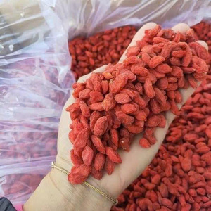 Bayas de Goji a Granel de Vietnam para Fabricantes de Té de Hierbas, Procesadores de Alimentos, Marcas Minoristas e Importadores Globales - Product Image 3