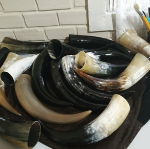 Taza de cuerno de búfalo ecológica natural pulida, cerveza vikinga tradicional y Cuerno para beber hidromiel - Product Image 1