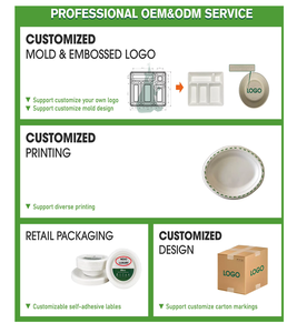 Eco-Friendly Biodegradable Recyclable Reusable Luxury Sugarcane Bagasse Clamshell <b>Lunch</b> <b>Box</b> with Lid Stocked Food Hotel Home - Product Image 5