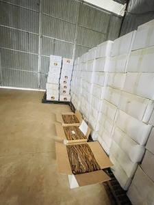 Yen Bai Split Cassia: ¡Productos exportados de alta calidad a precios competitivos! Vietnam (+ 84362512699) - Product Image 4