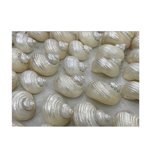 Anneau de serviette coquillage Matériau turbo naturel Artisan Fabriqué pour la décoration de salle à manger rustique du Vietnam - Product Image 6