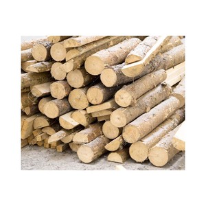 Custom Teak <b>Wood</b> <b>Logs</b> Pine and Red Cherry <b>Woods</b> Massive Forest Teak <b>Wood</b> <b>Logs</b> Wholesale Prices - Product Image 1