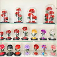 Vente en gros de roses éternelles préservées sous cloche en verre avec base miroir, cadeau élégant pour mariage, Noël, décoration intérieure