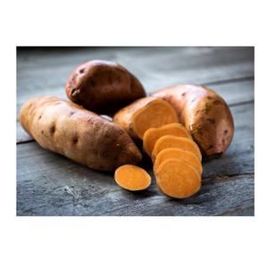 Ñames Blancos Frescos Orgánicos de Alta Calidad para Uso Agrícola, Precio Económico, Fabricante de Alemania, Exportaciones a Todo el Mundo - Product Image 2