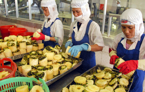 Emballé sous vide pour plus de fraîcheur, longue durée de conservation et prêt pour l'exportation. - Product Image 5