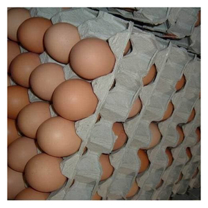 Huevos de gallina frescos de granja recolectados diariamente de gallinas saludables llenas de proteínas naturales y nutrientes - Product Image 3