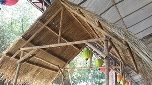 Proveedores de tejas de techo de paja Palmex mexicanas a prueba de lluvia contemporáneas para cabaña de acero - Product Image 4