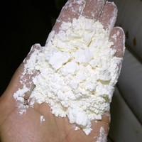 Farine de blé IKKA Premium 50kg Biologique Égyptienne Chakki Maida 00 Haute teneur en gluten Grade A 99% de finesse Faible MOQ Exportation mondiale en sac