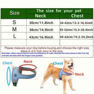 Oem Custom High quality Dog And Cat Collars Belt - Product Image 6