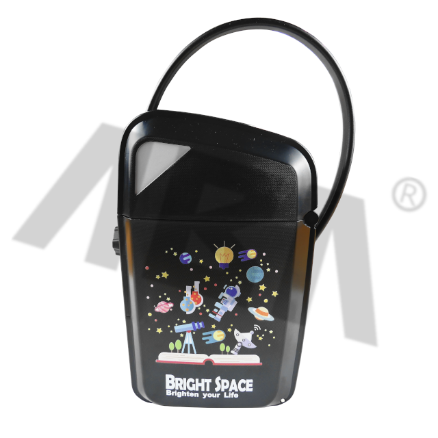 Outdoor and Indoor Portable Key Lock Box Large Capacity Safe Box Black ABS and Zinc Alloy ABA