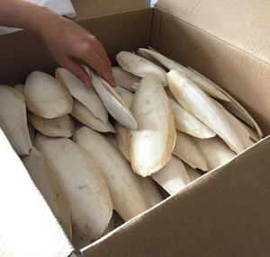 High Quality Dried <b>Cuttlefish</b> Bone Clean Processed Natural Cuttlebone For Pet Bird Feeding And Calcium Nutrition - Product Image 2