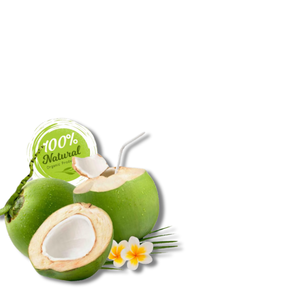 Cadeau spécial de la nature Noix de coco fraîche vietnamienne Produit agricole de qualité supérieure - Product Image 6