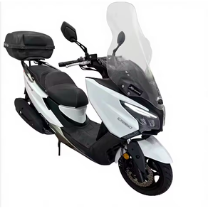 Meilleures Offres pour Scooter Urbain CT250 11L avec Réservoir de Carburant, Pédale d'Accélération, pour Adultes et Déplacements Extérieurs - Product Image 3