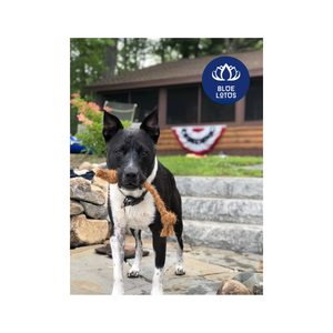 Juguete Masticable de Fibra de Coco para Perros, la Mejor Opción para la Limpieza de Dientes - Product Image 3