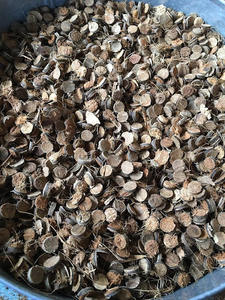 Botones de concha de coco natural con logotipo personalizado Botón de Coco para ropa - Product Image 6