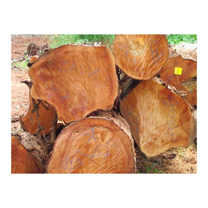 ท่อนไม้มะฮอกกานีที่ทนทานนำเสนอในเกรดการส่งออกสำหรับงานไม้และไม้ระดับโลก - Product Image 4