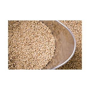 Exportation d'orge maltée séchée de haute qualité pour l'alimentation animale Origine autrichienne - Product Image 6