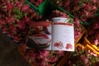 Vietnamese Dragon Fruit Smart Markets - 100% pure verse producten, 60 dagen houdbaarheid TECHMIFOOD Binh Thuan Vietnam Singapore Maleisië