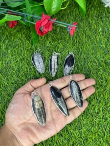 Natural Orthoceras Fossil <b>Crystal</b> Pendant Ancient Marine Fossil Gemstone Polished Wholesale Unisex pendant - Product Image 3
