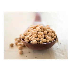 Wholesale organic soyabeans/ soya beans / soybeans available directly from Usa