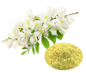 Commercio all'ingrosso puro naturale estratto di Sophora Japonica <span class=keywords><strong>quercetina</strong></span> anidra/diidrato <span class=keywords><strong>quercetina</strong></span> 95% in polvere - Product Image 3