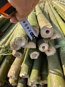 Venta al por mayor de palos de bambú baratos del proveedor de productos agrícolas de Vietnam Bao Tram Anh - Product Image 2