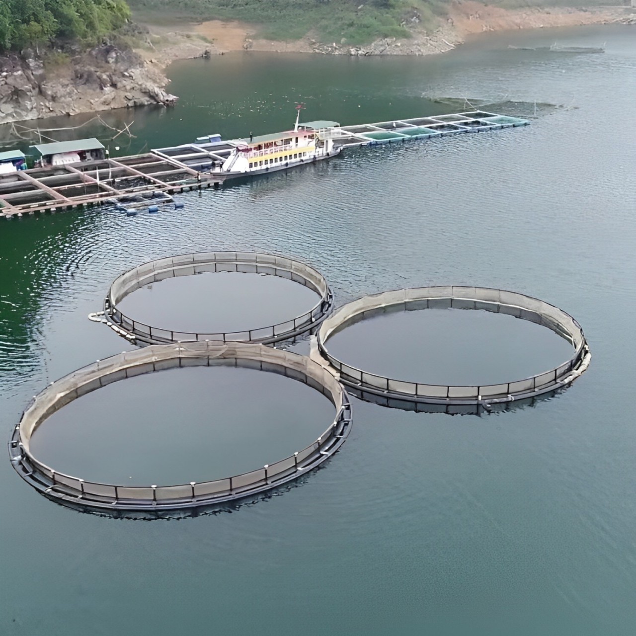 Вьетнамский производитель HDPE плавающая ловушка для рыбы аквакультурное оборудование для рыбоводства оптом