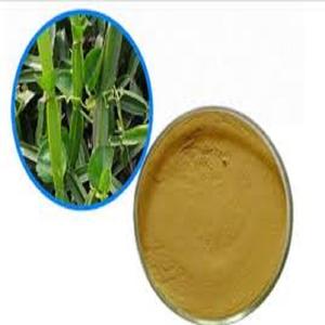 Polvo de Extracto de Hadjod a Granel, Polvo de Extracto de Cissus Indio 10:1, Polvo de Extracto de Cissus Quadrangularis - Product Image 1