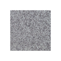 Granito blanco de alta calidad a bajo precio Granito blanco de diseño natural de proveedor mayorista