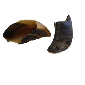 Sabot de buffle enrichi en vitamines organiques riches en protéines sans odeur mâche des friandises à mâcher durables pour chiens sabots à mâcher écologiques pour chiens secs - Product Image 5