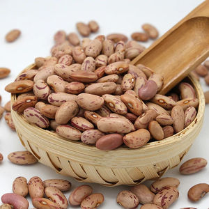 Dried Long Shape Pinto <b>Beans</b> Light Speckled Kidney <b>Beans</b> - Product Image 3