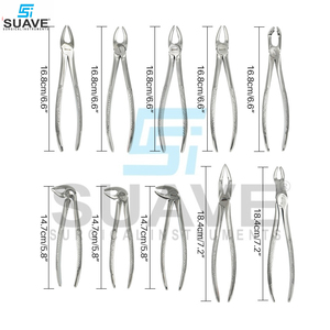 Equipo Dental al mejor precio Fórceps de extracción Dental Steeliness Fórceps de extracción Dental de acero por SUAVE INSTRUMENTS - Product Image 6