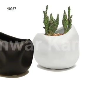 คอลเลกชันออร์แกนิค - Product Image 1