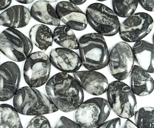 Natural Orthoceras Fossil Cabochon Mix Shape All Size Handmade Smooth <b>Crystals</b> <b>Healing</b> Fossil Loose Gemstone Wholesale Price - Product Image 1