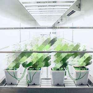 Proyecto Llave en Mano de Cultivo Interior: Contenedores de Cultivo Inteligente con Bancadas Rodantes para Semilleros de Cáñamo en Venta - Product Image 3