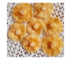 Prix usine anneaux d'ananas séchés asiatiques faible teneur en sucre approvisionnement en vrac en gros anneaux d'ananas séchés asiatiques doux exportation Vietnam - Product Image 4