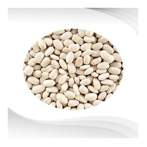 Proveedor Mayorista De Stock Fresco A Granel De Frijoles Blancos Secos Orgánicos - Product Image 6