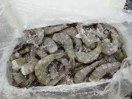 Camarones Vannamei Congelados Sin Cabeza a Granel en Venta - Product Image 2