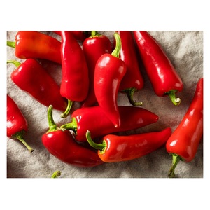 Piment rouge frais, épices brutes mélangées - Product Image 1