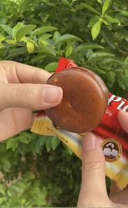 เค้กช็อคโกแลต6แพ็ค/กล่อง108กรัมขายดีในเวียดนาม - Product Image 4