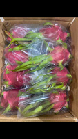 Tropische Schat 100% Pure Verse Dragon Fruit uit Binh Thuan, Vietnam, met 60 dagen houdbaarheid voor wereldwijde markten