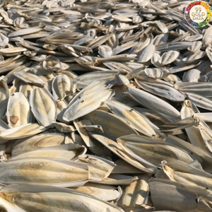 Os de seiche du Vietnam de haute qualité, utilisant des matériaux marins naturels, adapté aux travaux d'artisanat et aux conceptions de produits pour animaux de compagnie - Product Image 6