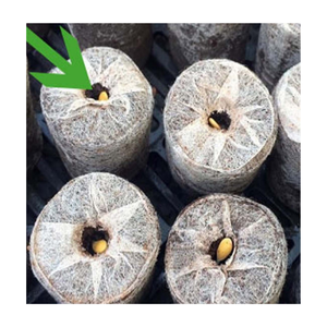 100% มะพร้าวธรรมชาติใยมะพร้าวอัดเม็ดมะพร้าวตามธรรมชาติคุณภาพสูงสำหรับสวนจาก99 GD - Product Image 3